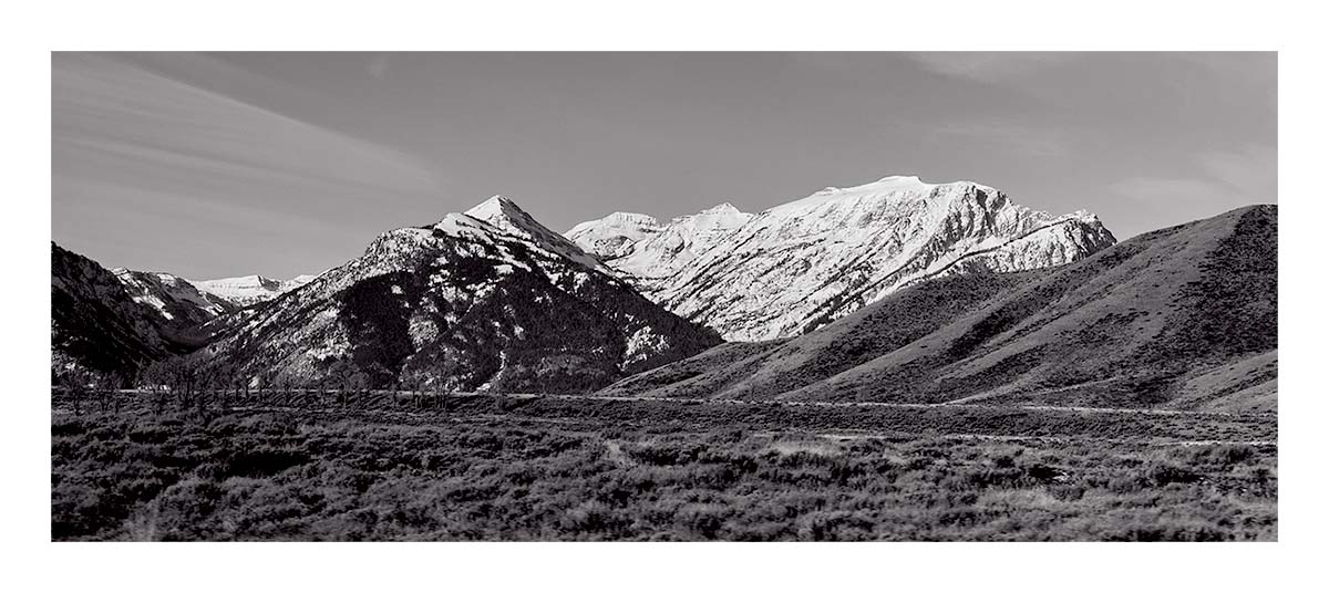 National Elk Refuge